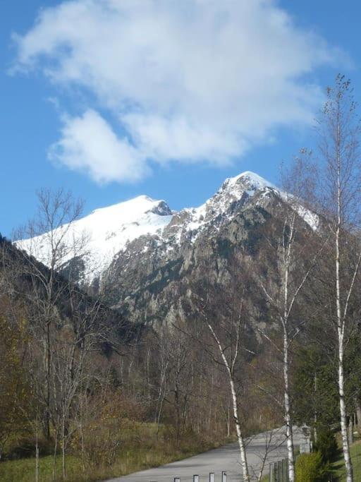 Apartament Al Cor De La Vall De Camprodon Вилальонга-де-Тер Экстерьер фото