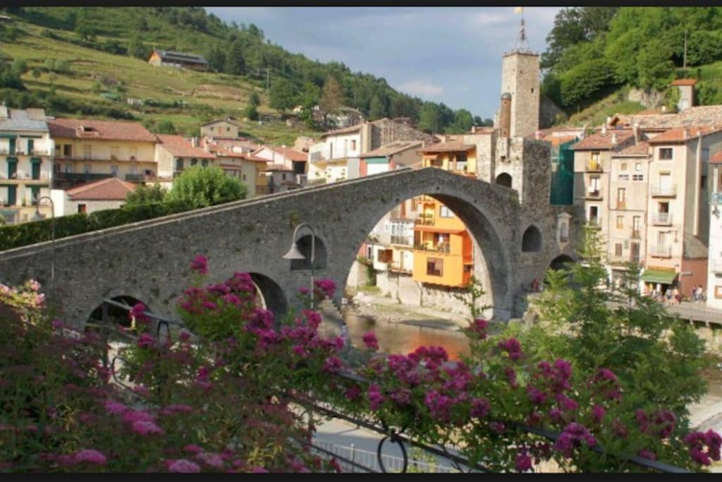 Apartament Al Cor De La Vall De Camprodon Вилальонга-де-Тер Экстерьер фото